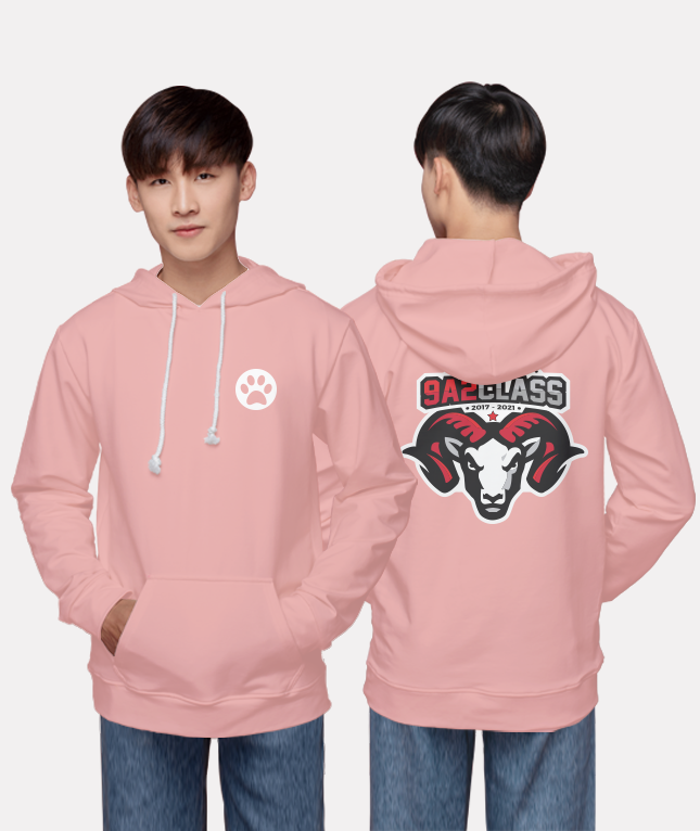 256. Áo lớp Hoodie Basic BST Goat Cam Đào